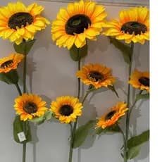 Girassol grande com 3 flores MY 2236my