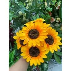 GIRASSOL ARTIFICIAL GRANDE C/6 FLORES - MY8947yyy