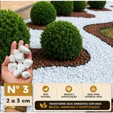 (2kg/5kg/10kg/20kg) Pedra Branca Dolomita Seixo Nº3 Decorativa Ideal para Vasos Jardins e Paisagismo