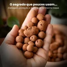 Argila Expandida Pedras Para Vasos De Plantas Drenagem 3222 e Decoração Jardim Externo