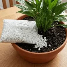 Pedrisco Pedrinha Branca 1kg até 10kg Nº0 para Jardim Aquário Vaso de Planta Decoração de Calçada