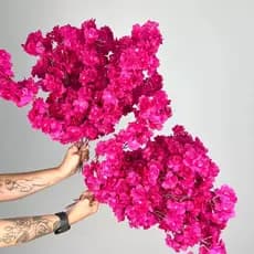 Kit 10 a 40 Flores 45cm Flor Cerejeira artificial Decoração Casa - A-520 COR: ROSA FÚCSIA
