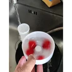 Lavador Automático de Frutas e Vegetais Pequenos