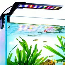 NewPet Luz LED de Espectro Completo com Clipe para Aquário Modo 24/7 Sunrise e 10 Níveis de Brilho