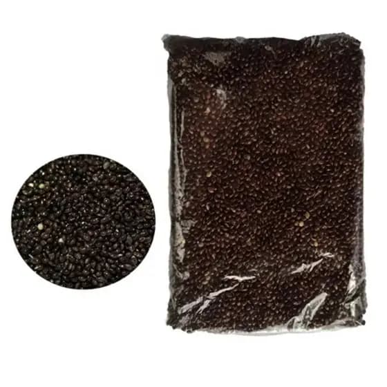 Painço Preto Semente Limpa Curió Bicudo Azulão 1kg