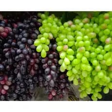 Cacho De Uva Artificial Grande Uvas Silicone 14cm