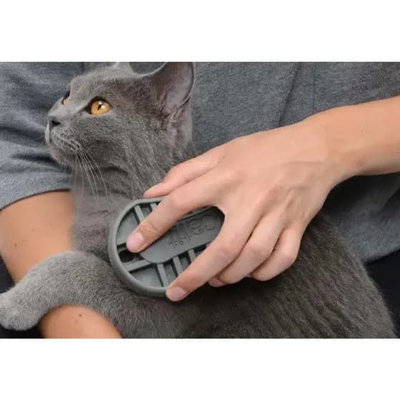 Escova Pente Massageador banho pet Cinza Silicone Relaxante