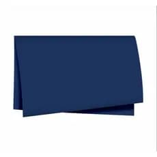 Poli Sujinho Liso 49cm x 69cm Azul escuro 10 Folhas