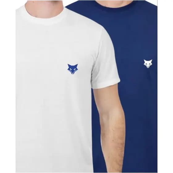kit 2 camisa básica com símbolo do seu time (camisa cruzeiro) camisa casual Personalizada