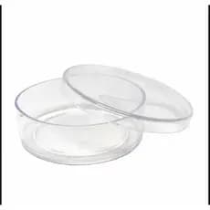 50 Latinhas Transparente Em Acrilico Tam 5x5x1