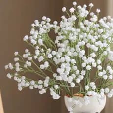 Simulação full-star simulação flor decoração plástico falsa flor ins vento5pcs