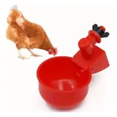 Bebedouro automático para aves domésticas, adequado para pássaros, galinhas e codornizes, pacote com 10 unidades