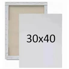 Kit Com Telas Para Pintura 30x40cm Algodão - Uso Profissional e Artístico Arte Artesanato