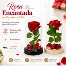 Rosa Preservada na Cúpula  – Decoração e Presente com Luz LED