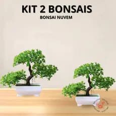 Kit 2 Bonsais Artificial  Realista Natural  Bonsais Nuvem Fortuna Barba de Dragão  Abundância