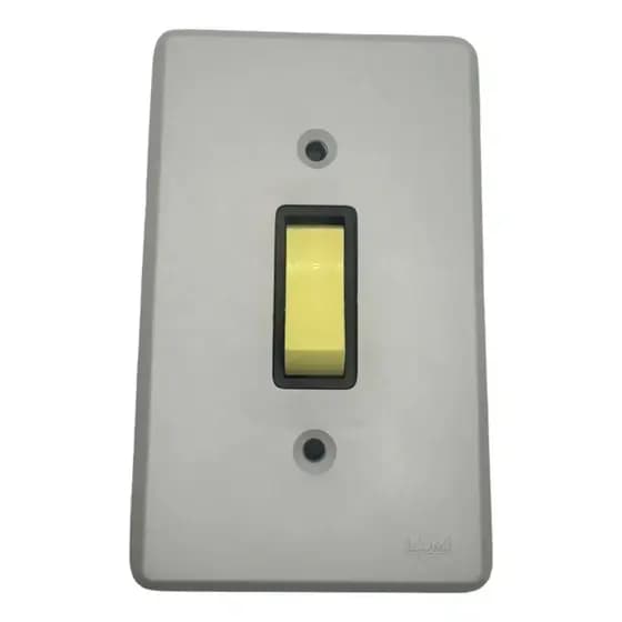 Interruptor Simples Ilumi Cinza para Parede 4x2