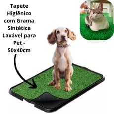 Tapete Higiênico com Grama Sintética Lavável para Pet - 50x40cm