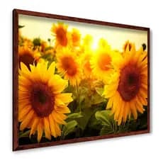Quadro Decorativo Grande 1 Peça Girassol Flor Jardim