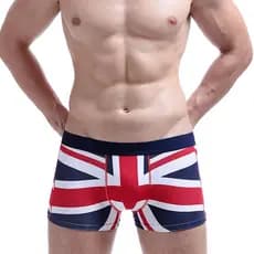 2026 novo estilo Hibibin roupa interior masculina Boxer Briefs juventude estilo na moda cintura baixa magro-ajuste U-con