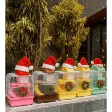 Gaiola Hamster Luxo Dois Andares Completa Confortável - M. 27*19,5*25cm
