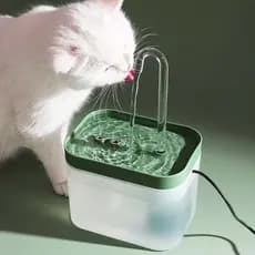 MIW Bebedouro Fonte de Água Com Fio Elevado Automático Com Filtro Para Pet Cachorro Gato 1.5 Litros