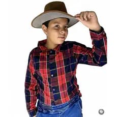 Camisa social Xadrez Infantil Country Festa junina Unissex São João Estilosa