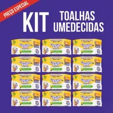 Kit Toalhas Lenços Umedecidos Chameguinho Baby Menina Menino Lencinho Limpeza Higiênica