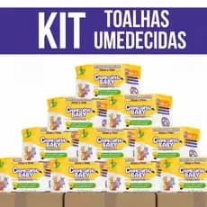 Kit Toalhas Umedecidas Chameguinho Baby Lenço Higiênico Caixa Pacotes Menina Menino