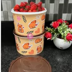 KIT conjunto jogo de 02 potes CAPIVARA multi uso capivara decorado cozinha armazenamento de alimento