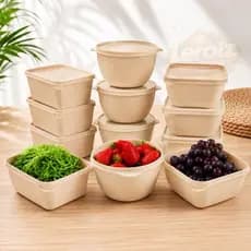 Kit 12 Potes Plasticos para Guardar Alimentos