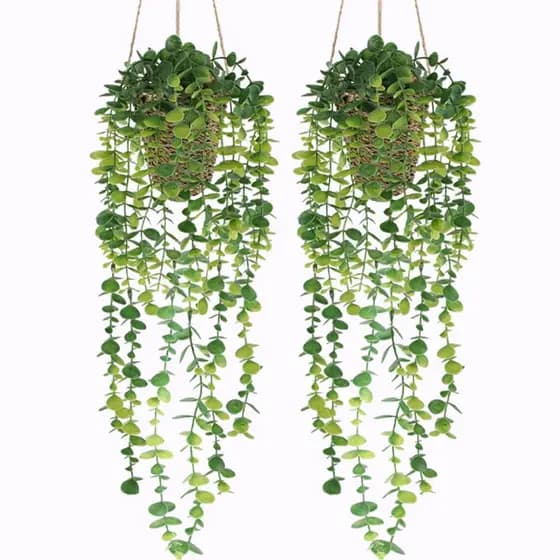 Planta Artificial Pendente com Cesto Trançado (Kit com 2), Plantas Artificiais com Folhas de Eucalipto e Trepadeiras,