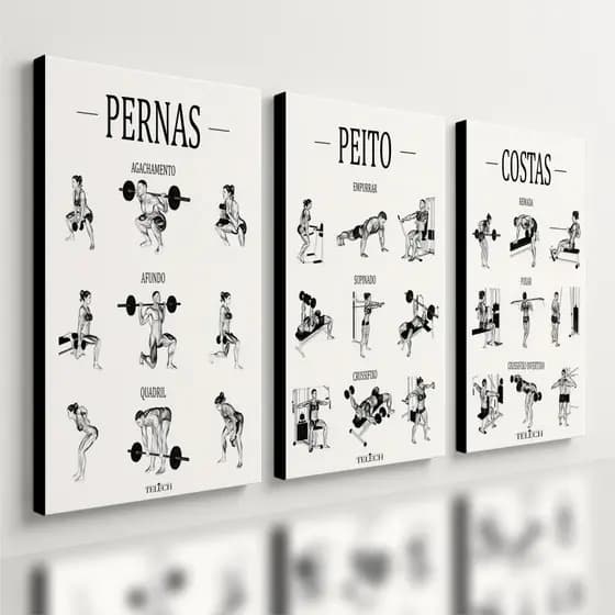 Kit 3 Quadro Decorativo Guia de Exercícios Treino Academia Gym Musculação