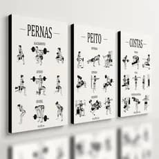 Kit 3 Quadro Decorativo Guia de Exercícios Treino Academia Gym Musculação