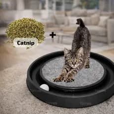 Arranhador Mais Catnip para Gato Redondo com Bolinha Relax Antiestresse Brinquedos para Gatos