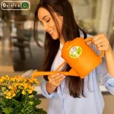 Regador de Plantas Decorativo Okla Plástico 1,5L Jardim Jardinagem Horta Bico Fino Chuveiro