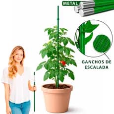 Tutor para Plantas 75cm Haste de Sustentação para Pimentão, Tomate Cereja, Jasmim, Rosas e Plantas Trepadeiras