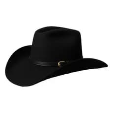 Chapéu Country Cowboy Rodeio Barretos Unissex Sertanejo