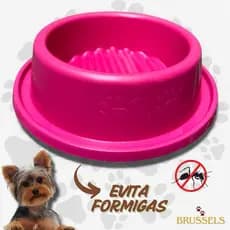 Comedouro Bebedouro Anti Formigas Pet Pote Grande Cachorro Várias Cores