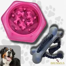 Kit Comedouro Lento Educativo Cães Mais Osso Higiênico Pet Interativo Cachorro