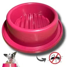 Comedouro Anti Formiga Pet Protege Ração Sem Insetos Fácil Limpeza