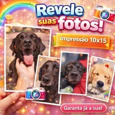 Revelação Kit Com 100 Fotos 10x15 Impressão Premium