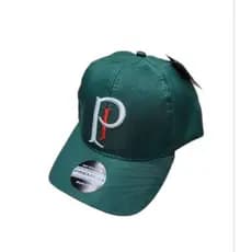 Boné Palmeiras Palestra Italia Aba Curva BONÉ PALMEIRAS PI Bordado
