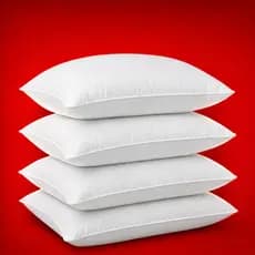 Travesseiro Pluma de ganso 50x70cm – Premium Hotel, Siliconizada, Anti Alérgico, com Zíper e Viés Macio