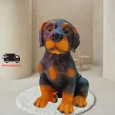 Cofre Decorativo de Moedas Cachorro Rottweiler ou Labrador em Gesso . Escolha o seu!