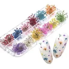 Caixinha com 12/24 Flores Secas Encapsulamento Decoração Unhas De Gel