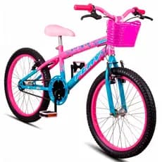 Bicicleta Infantil Aro 20 Feminina Flay Floratta Menina 6 A 10 Anos Freio V-brake