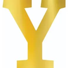 Letra Y Acrílico Espelhado Dourado Decoração Personaliza