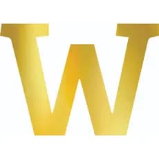 Letra W Acrílico Espelhado Dourado Decoração Personalizada