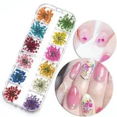 Caixinha com 12/24/36 Flores Secas Encapsulamento Decoração Unhas De Gel