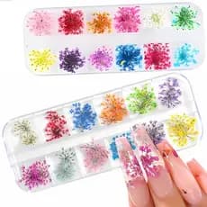 Kit 24un Flor Seca Natural para Encapsulamento de Unhas - 2 Caixas